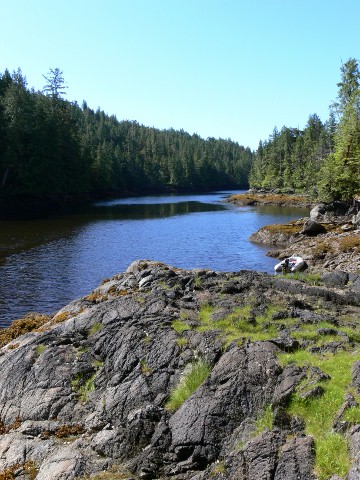 The head of Trahey Inlet, looking south from the east side. 