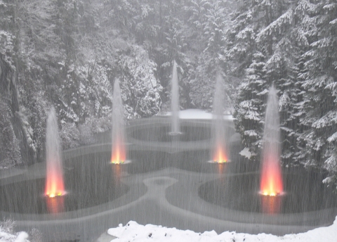 Butchart Gardens during snowstorm