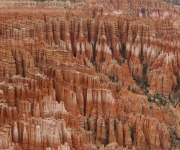 Road Trip to Seattle: Bryce Canyon
