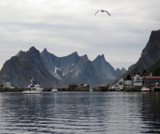 Reine