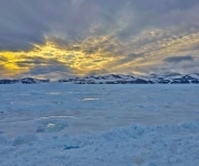 Northeast Greenland’s Unexplored Sea Ice