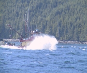 Wind Against Current In Johnstone Strait