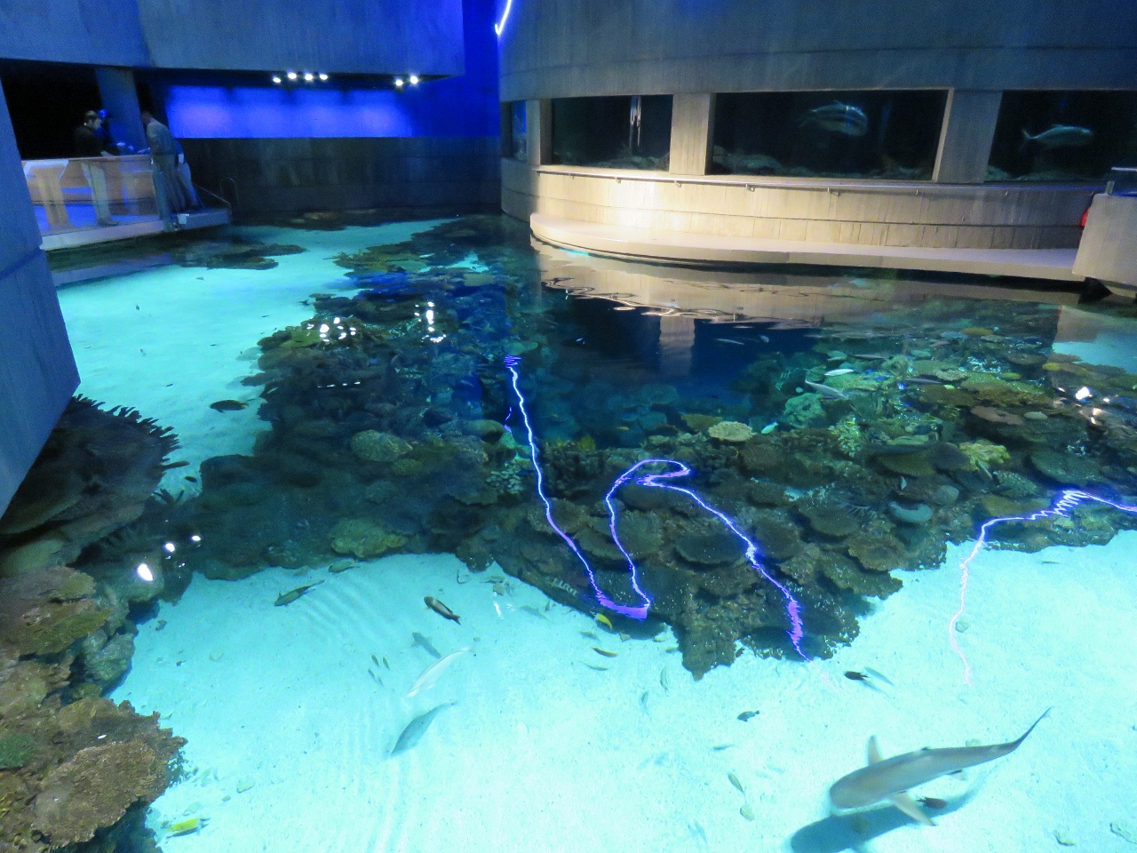 National Aquarium – Dirona Around the World