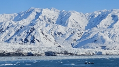 Turner Glacier