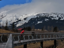 Alaska Wildlife Conservation Center