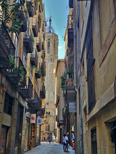 Cathedral of Barcelona from Carrer de la Freneria
