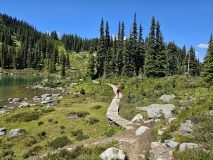 High Note Trail, Whistler