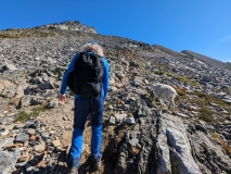 Wildlife on Cascade Pass and Sahale Arm Hike