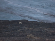 Kvitoya, Svalbard