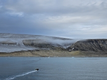 Vaigattbogen, Svalbard