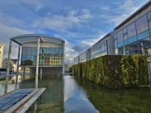 Reykjavik City Pond