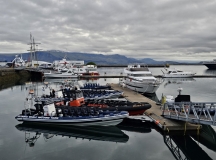 Reykjavik Old Harbour