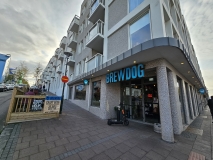 Brew Dog, Reykjavik