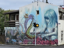 Reykjavik Street Art