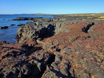 Brimketill, Iceland