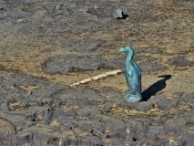 Great Auk, Valahnukamol, Iceland