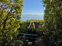 Dallas Rd Waterfront Trail