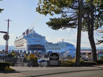 Cruise Ship Terminal