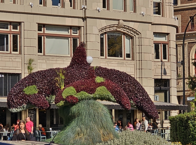 Orca Topiary