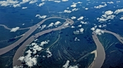 Amazon River Tributary