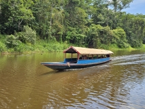 Traffic, Amazon River