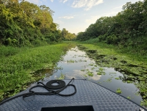 Amazon River tributary