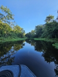 Amazon River tributary