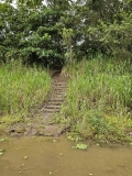 Jungle path, Amazon River