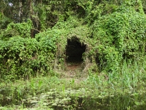 Jungle path, Amazon River