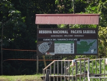 Pacaya Samira National Reserve