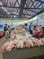 Nauta market