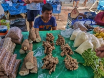 Nauta market