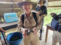 Turtle on village visit, Amazon River