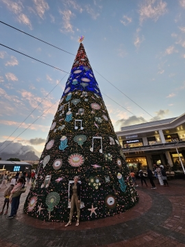 Cape Town Holiday Season