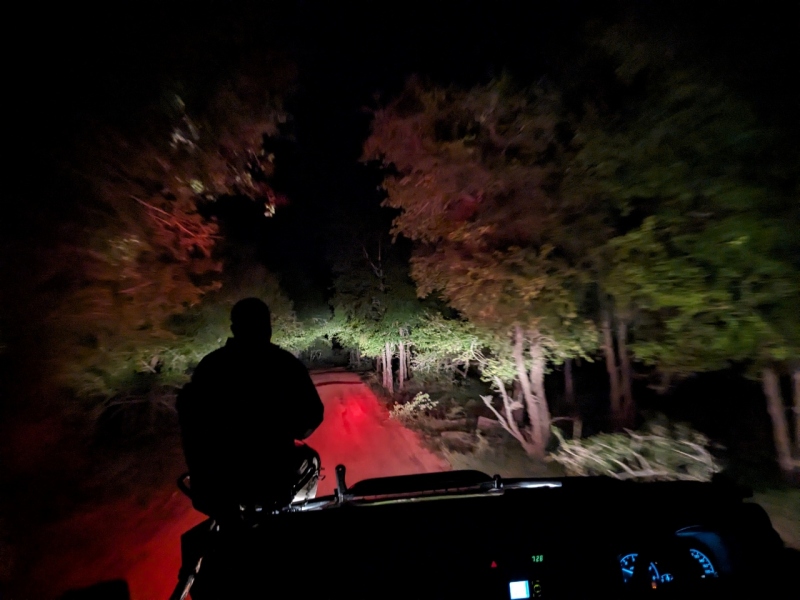 Driving at night, Sabi Sand