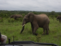 Off-roading, Sabi Sand