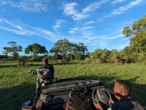 Off-roading, Sabi Sand