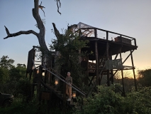 Treehouse, Sabi Sand