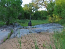 Tracking, Sabi Sand