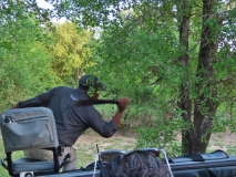 Branch removal while off-roading, Sabi Sand