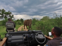 Tracker and guide, Sabi Sand