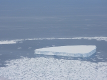 Ice Shelf near Atka Bay