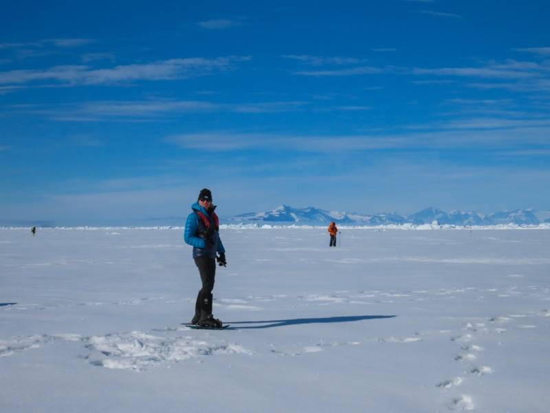 Ice landings, east coast of Greenland