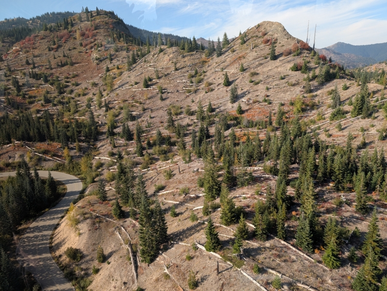 Mt St Helens, Helicopter Tour from Seattle