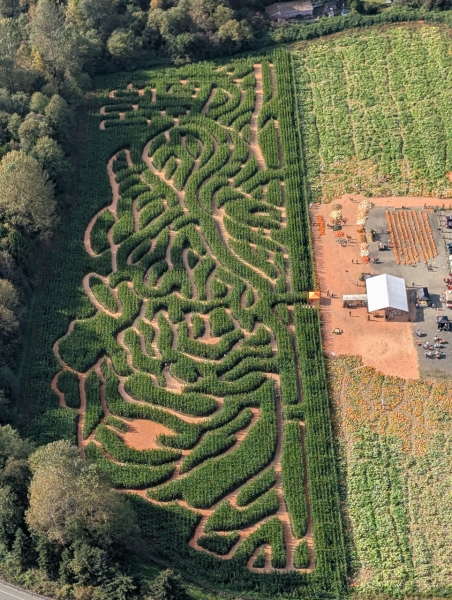 Mosby Farms on Helicopter Tour from Seattle