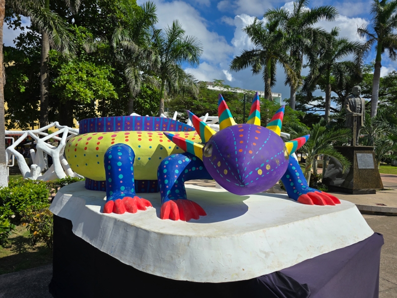 Caribbean Cruise aboard Norwegian Joy