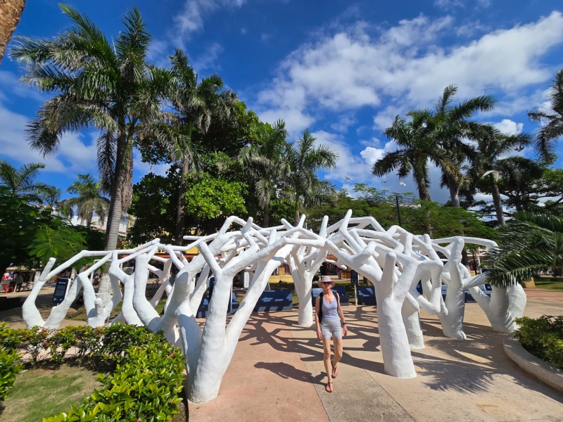 Caribbean Cruise aboard Norwegian Joy