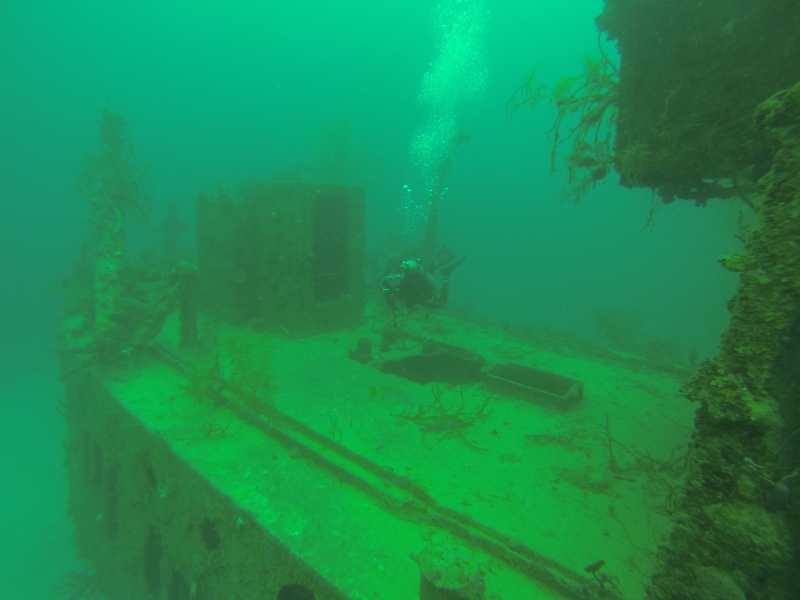 Diving in Honduras