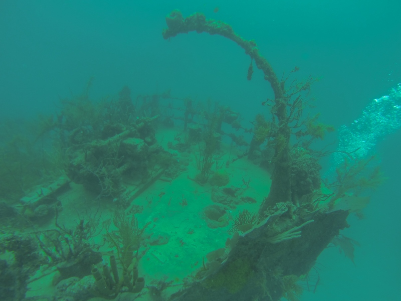 Diving in Honduras