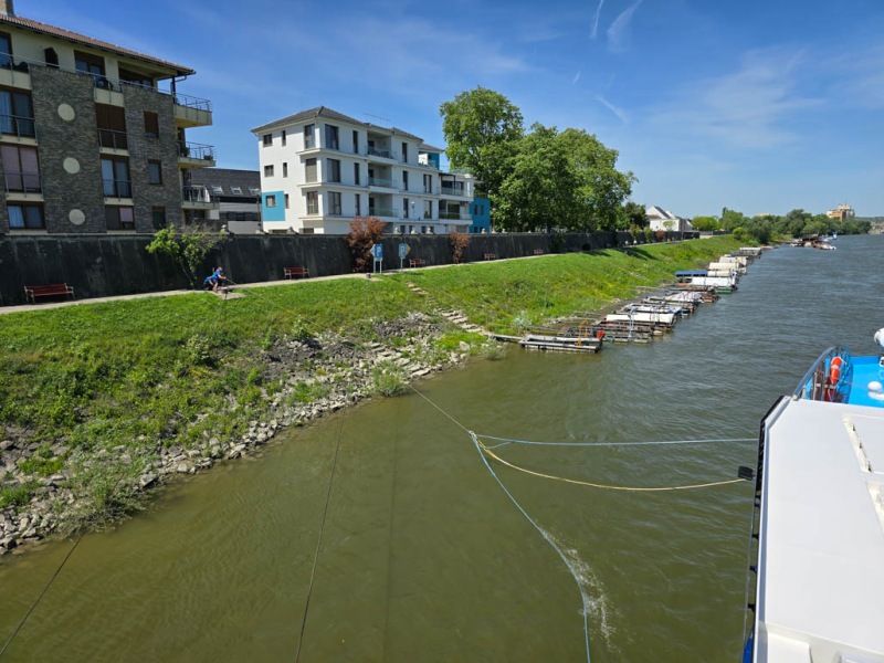 AmaMagna docking at Mohacs, Hungary